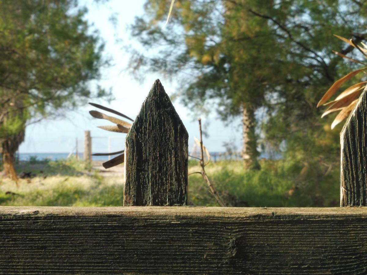 Palm Tree House By The Beach Skhoínos Exteriör bild