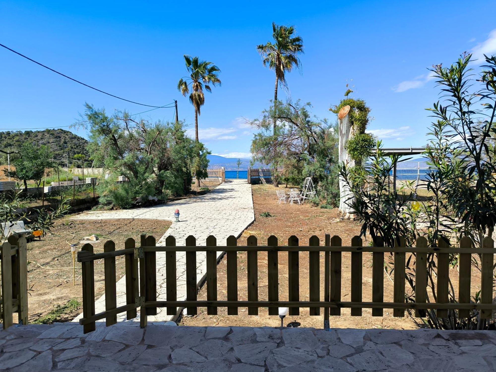 Palm Tree House By The Beach Skhoínos Exteriör bild